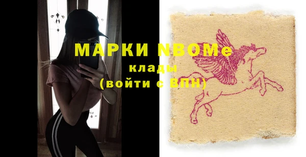 хмурый Новозыбков