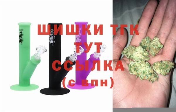 хмурый Новозыбков