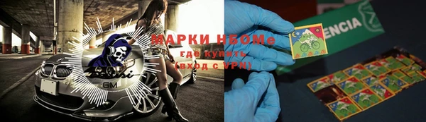 хмурый Новозыбков