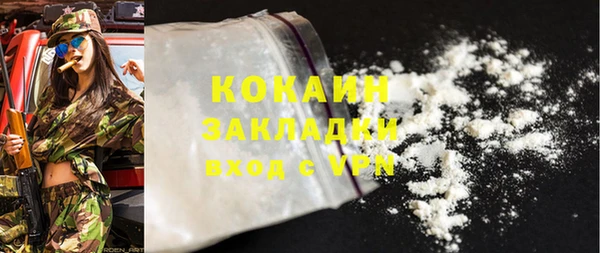 хмурый Новозыбков