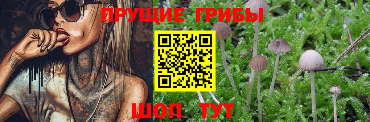 Галлюциногенные грибы Cubensis  Вход с VPN  Раменское  Галлюциногенные грибы Psilocybine cubensis 